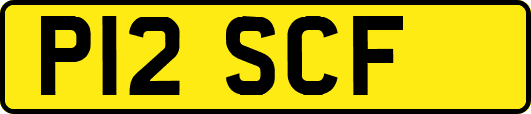 P12SCF