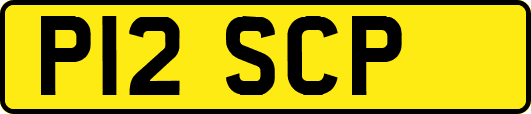 P12SCP