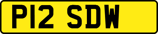 P12SDW