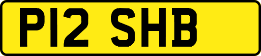 P12SHB