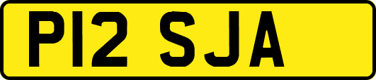 P12SJA