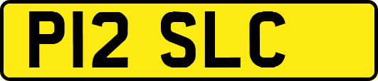 P12SLC