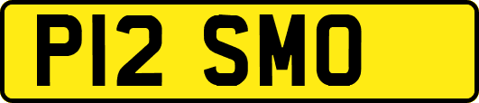 P12SMO