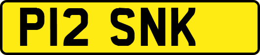 P12SNK