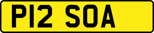 P12SOA