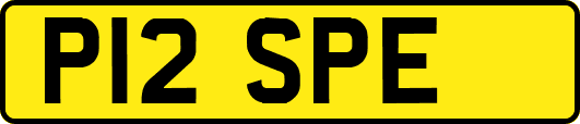 P12SPE