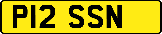 P12SSN