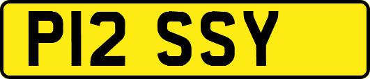 P12SSY
