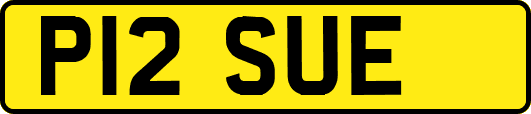 P12SUE