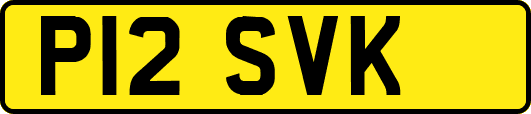 P12SVK