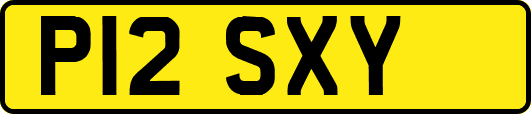 P12SXY