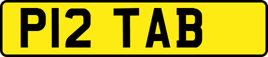 P12TAB
