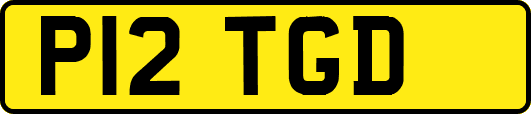 P12TGD