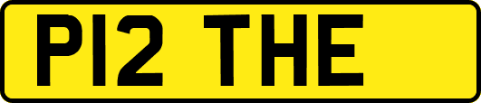 P12THE