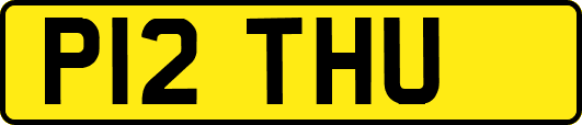 P12THU