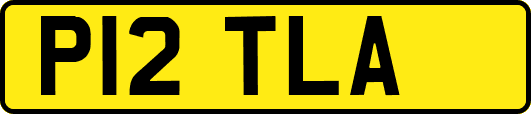 P12TLA