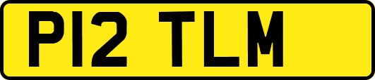 P12TLM