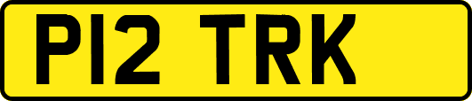 P12TRK