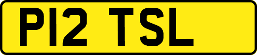P12TSL