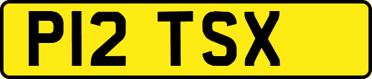 P12TSX