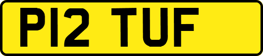 P12TUF
