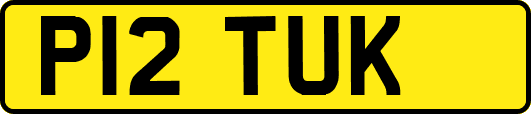 P12TUK