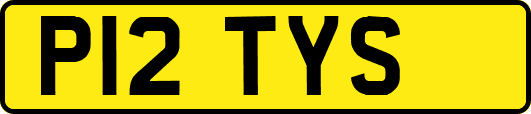 P12TYS
