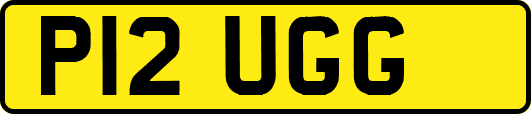 P12UGG