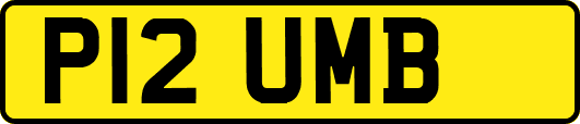 P12UMB