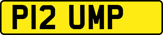 P12UMP