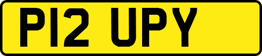 P12UPY