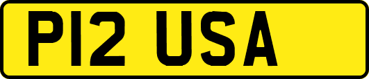 P12USA