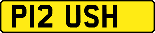 P12USH