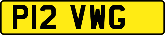 P12VWG