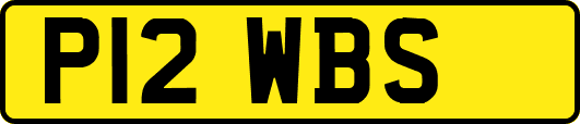 P12WBS