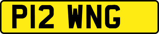 P12WNG