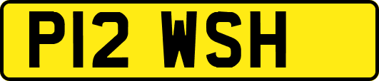 P12WSH