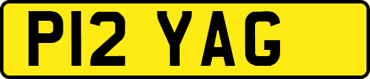 P12YAG