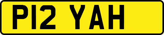 P12YAH