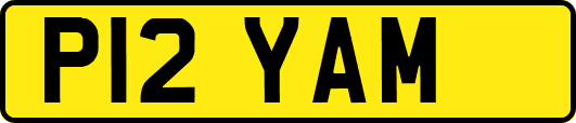 P12YAM