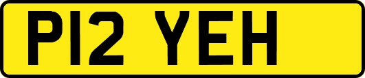 P12YEH