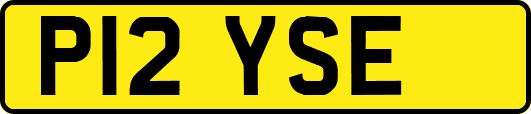 P12YSE