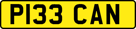 P133CAN
