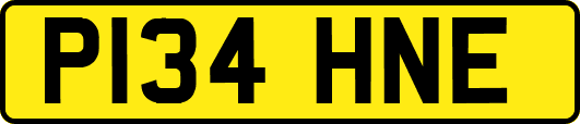 P134HNE