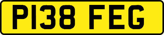 P138FEG