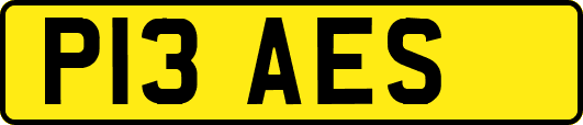 P13AES