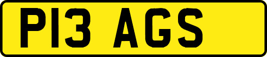 P13AGS
