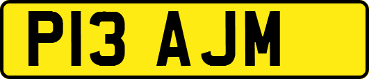 P13AJM