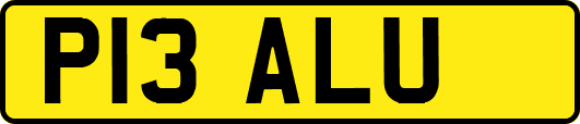 P13ALU