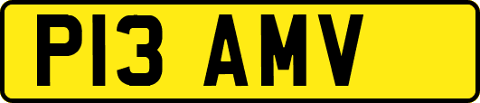 P13AMV